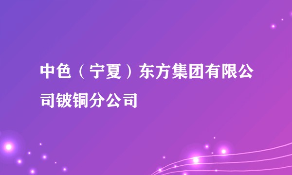中色(宁夏)东方集团有限公司铍铜分公司
