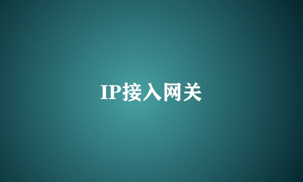 IP接入网关