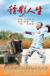 精彩人生（2010年吴卫东执导电影）