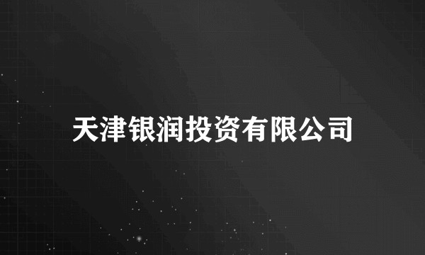 天津银润投资有限公司