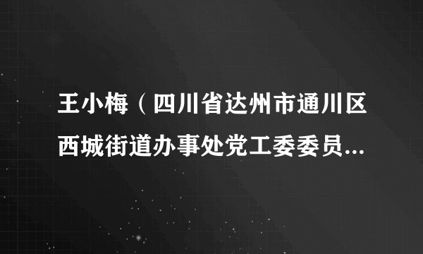 王小梅(四川省达州市通川区西城街道办事处党工委委员、人大工委主任)