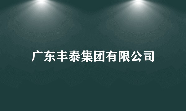 广东丰泰集团有限公司