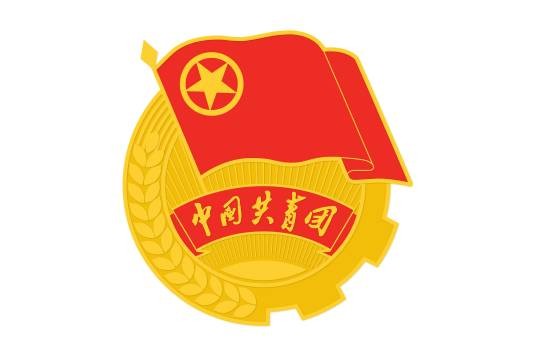 共青团张家口市委驻天津工作委员会