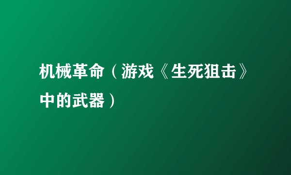 机械革命（游戏《生死狙击》中的武器）