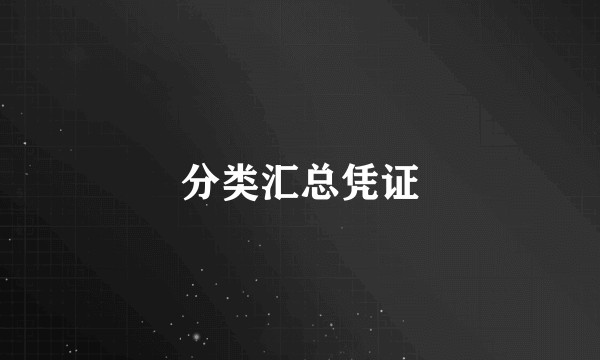 分类汇总凭证