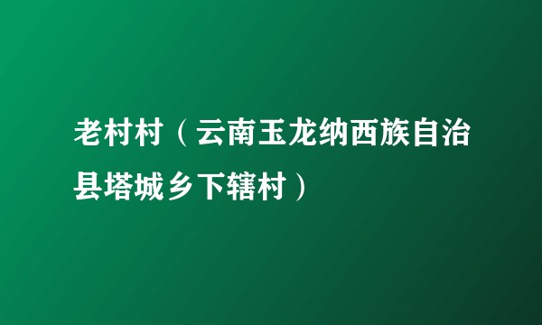 老村村（云南玉龙纳西族自治县塔城乡下辖村）