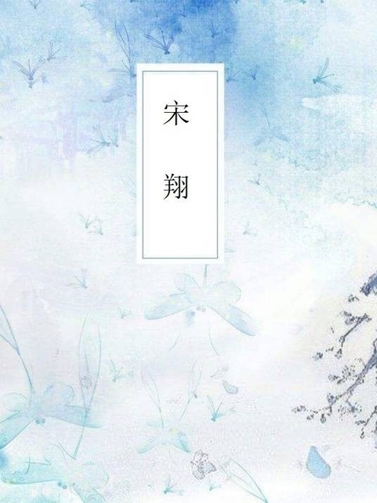 宋翔(木林森444创作的网络小说)