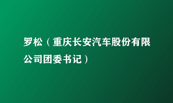 罗松（重庆长安汽车股份有限公司团委书记）