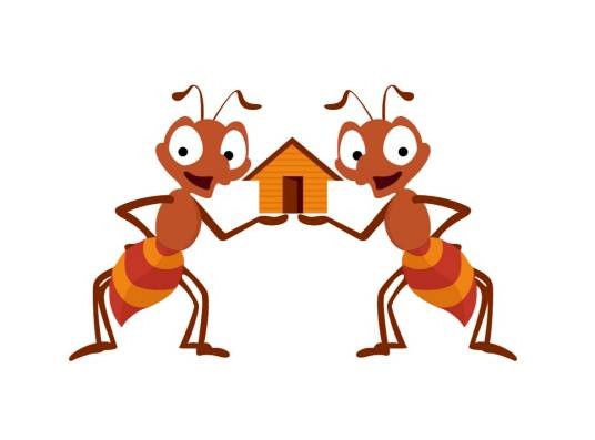 蚂蚁搬家运输有限公司广州分公司