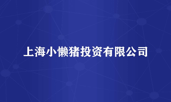 上海小懒猪投资有限公司