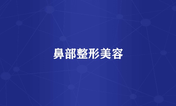 鼻部整形美容
