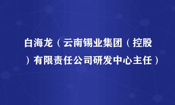白海龙（云南锡业集团（控股）有限责任公司研发中心主任）