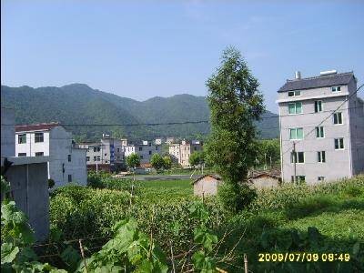 庄前村(浙江省绍兴市新昌县南明街道下辖村)