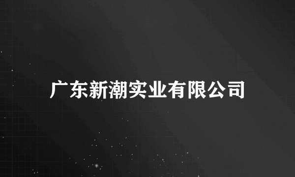 广东新潮实业有限公司