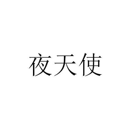 夜天使（2011年张亚东执导的剧情电影）