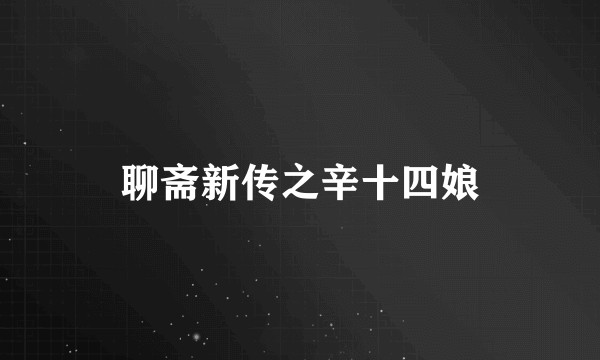 聊斋新传之辛十四娘