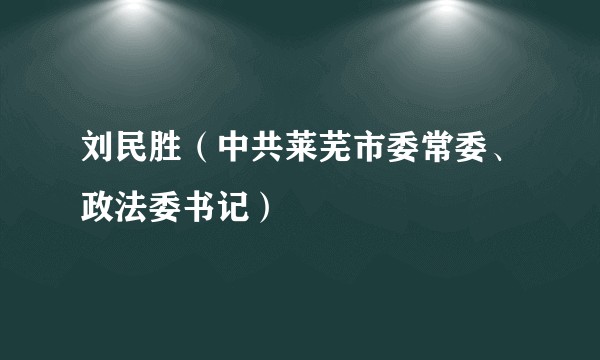 刘民胜（中共莱芜市委常委、政法委书记）