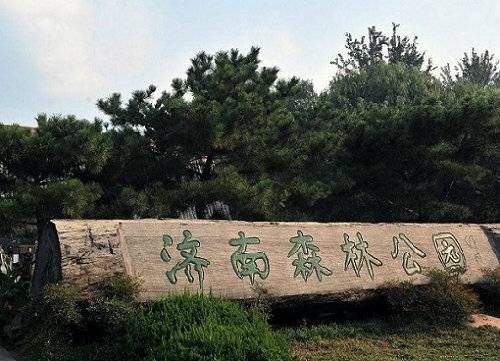 济南森林公园