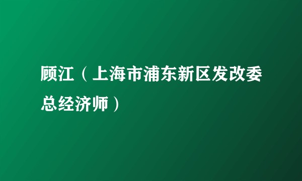 顾江（上海市浦东新区发改委总经济师）