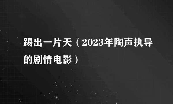 踢出一片天（2023年陶声执导的剧情电影）