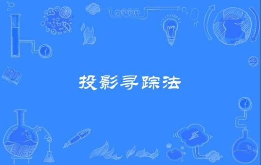 投影寻踪法