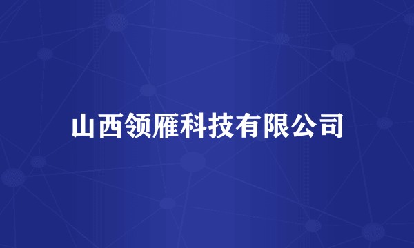 山西领雁科技有限公司