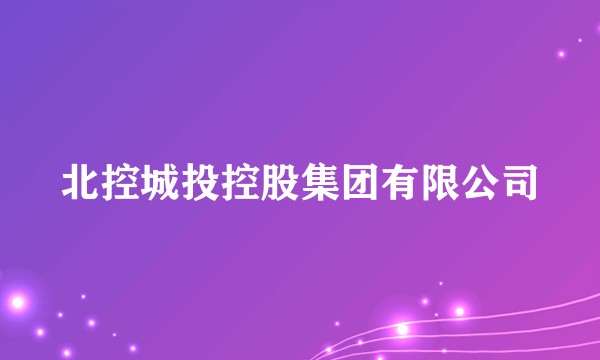 北控城投控股集团有限公司