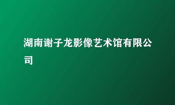 湖南谢子龙影像艺术馆有限公司