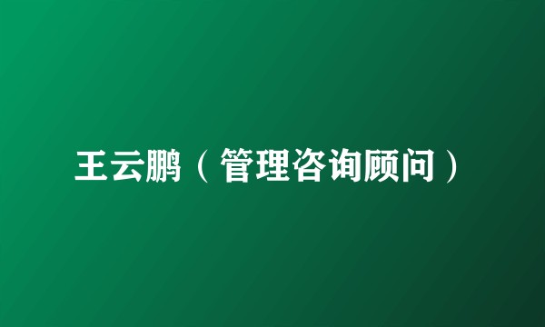 王云鹏（管理咨询顾问）
