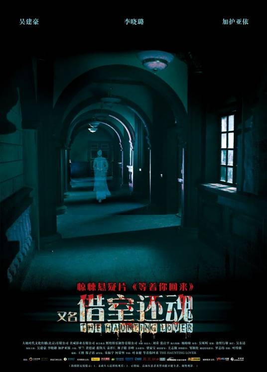 等著你回来(2010年叶永健导演中国电影)