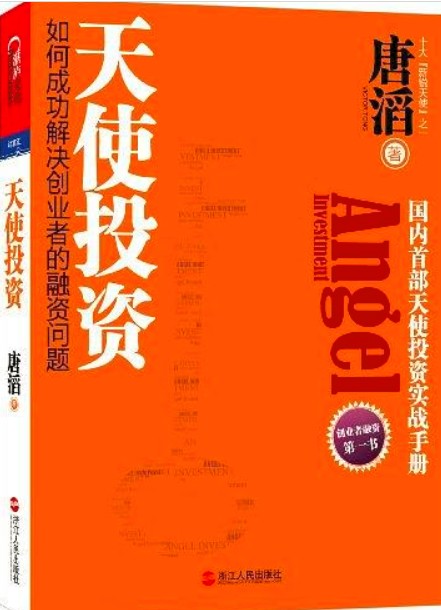 天使投资（2012年浙江人民出版社出版的图书）