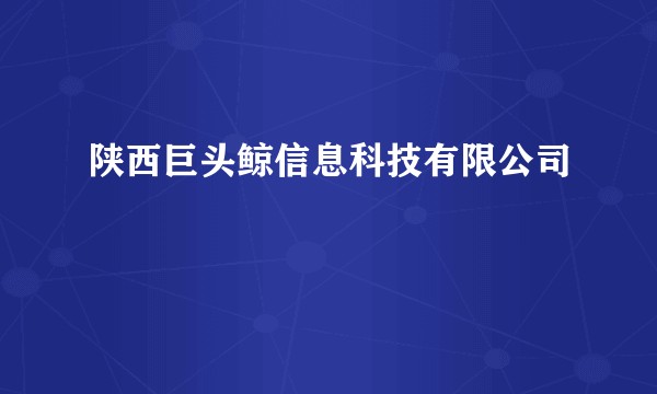陕西巨头鲸信息科技有限公司