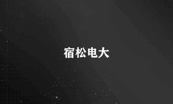 宿松电大