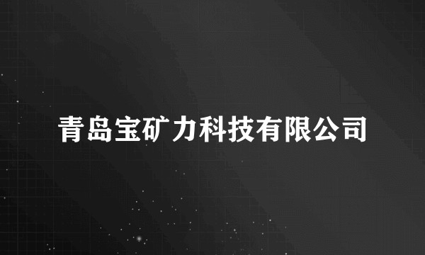 青岛宝矿力科技有限公司