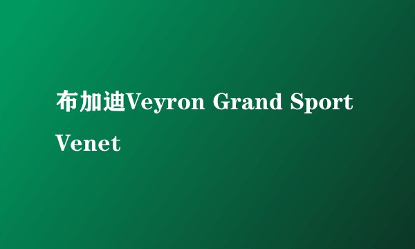 布加迪Veyron Grand Sport Venet