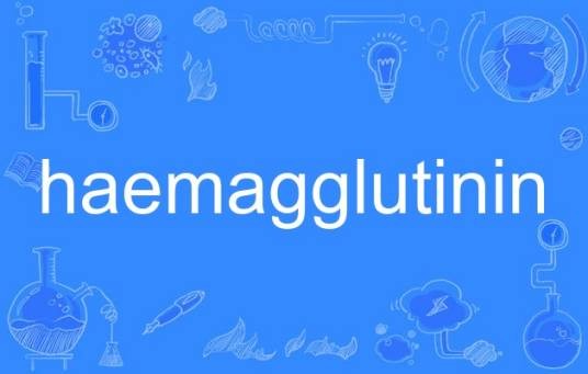 haemagglutinin