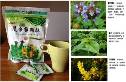 夏桑菊茶