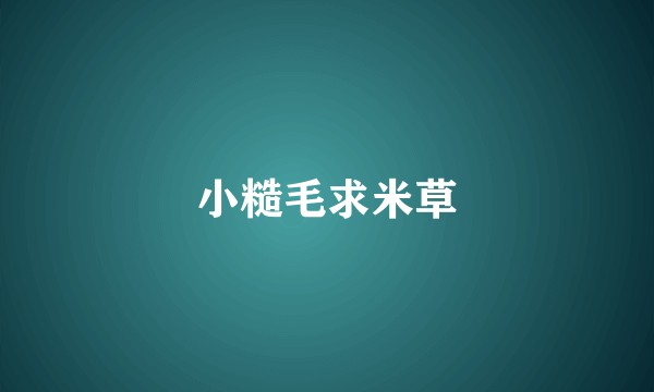 小糙毛求米草