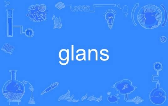 glans