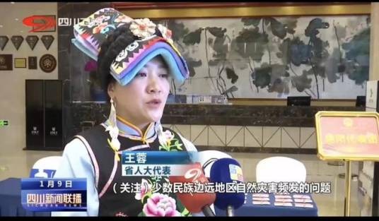 王蓉(四川省北川县青片乡正河村村支委委员、四川省第十三届、第十四届人大代表)