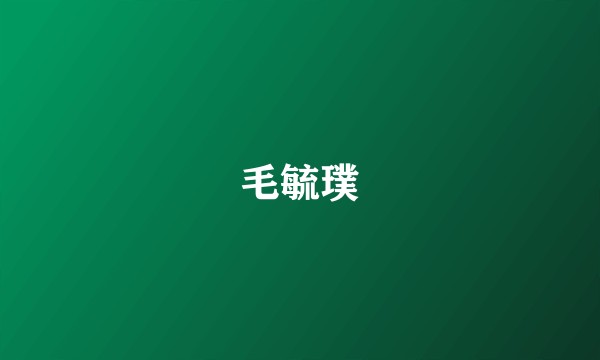 毛毓璞