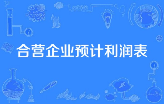 合营企业预计利润表