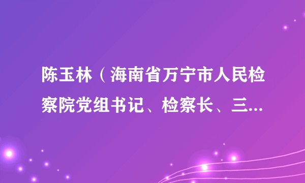陈玉林(海南省万宁市人民检察院党组书记、检察长、三级高级检察官)