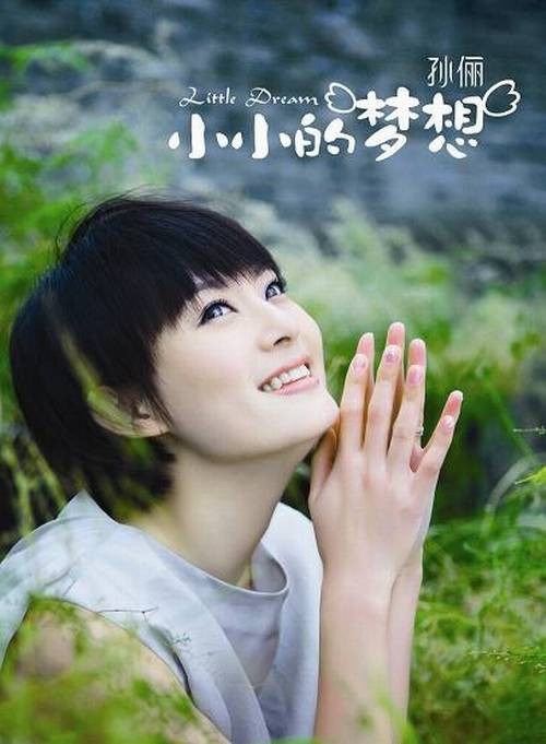 小小的梦想（孙俪2008年发行的EP）