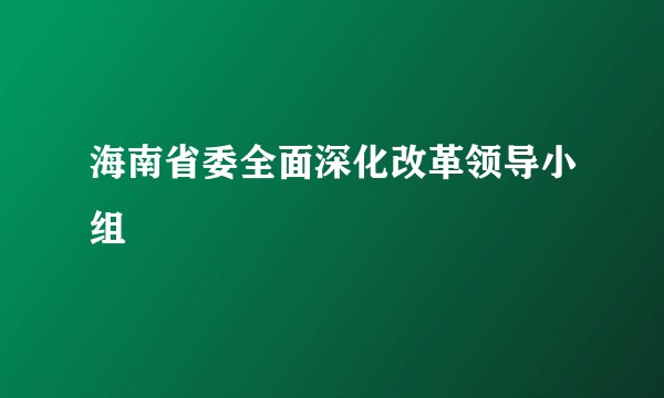 海南省委全面深化改革领导小组
