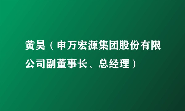 黄昊(申万宏源集团股份有限公司副董事长、总经理)