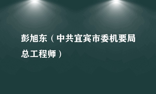 彭旭东（中共宜宾市委机要局总工程师）