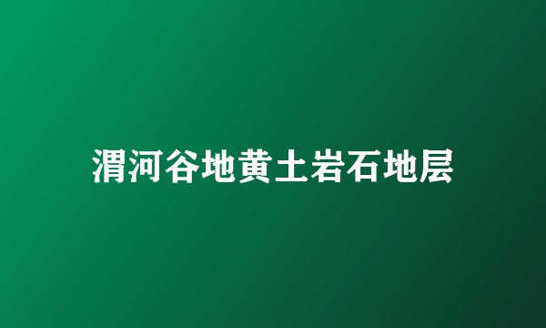 渭河谷地黄土岩石地层