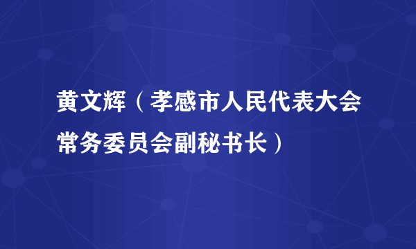 黄文辉（孝感市人民代表大会常务委员会副秘书长）