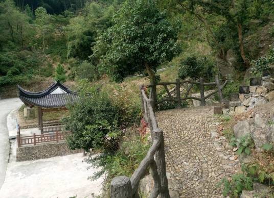 王家岭古道
